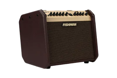 Fishman Acoustic Guitar Amplifier
